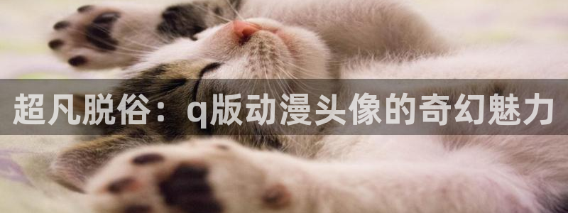 动漫之家动漫：超凡脱俗：q版动漫头像的奇幻魅力