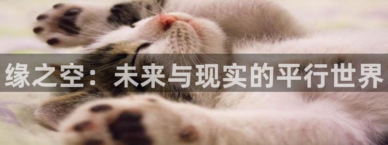 卡通动漫之家：缘之空：未来与现实的平行世界