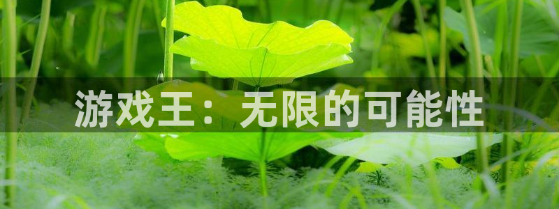 动漫之家免费版下载安装