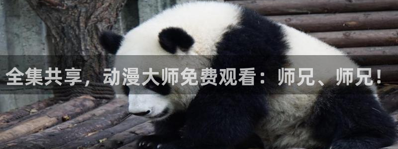 动漫之家看不了漫画：全集共享，动漫大师免费观看：师兄、师兄！